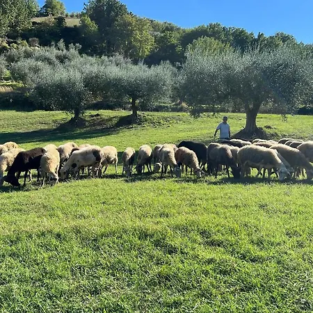 Luxury Authentic Private With Private Swimming Pool