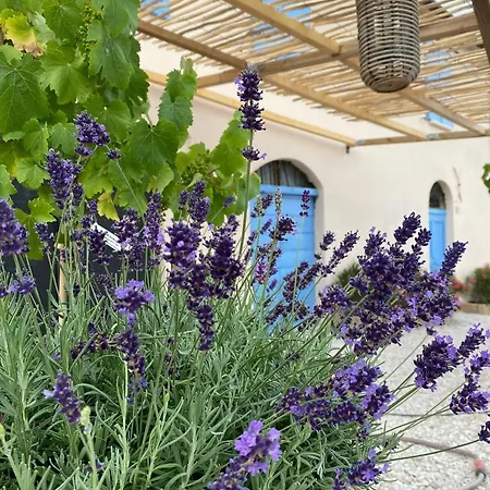 Villa Luxury Authentic Private With Private Swimming Pool